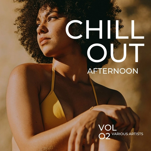 VA - Chill Out Afternoon [Vol. 2] (2023) FLAC скачать торрент