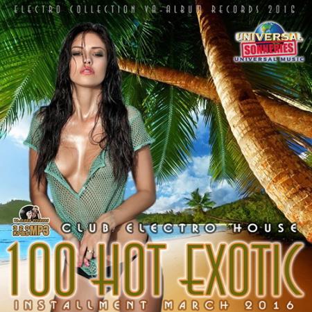 VA - 100 Hot Exotic: Electro Club House (2016) MP3 скачать торрент