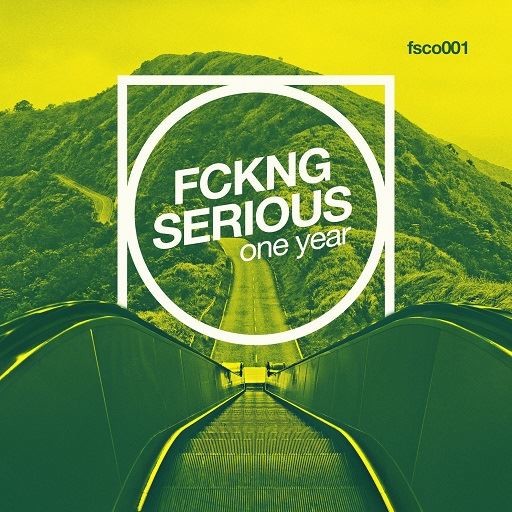 VA - Fckng Serious (One Year) (2016) MP3 скачать торрент