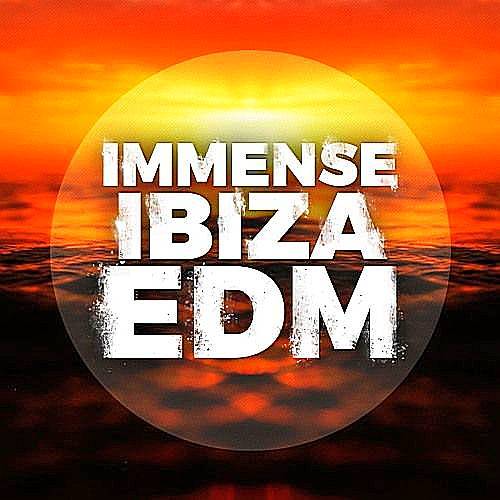 VA - Sounds Immense Ibiza Pulse (2016) MP3