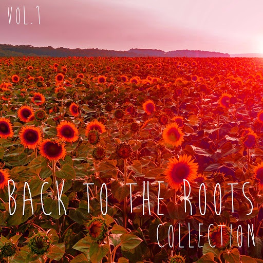 VA - Back to the Roots Collection Vol. 1 (Selection of Deep House) (2016) MP3 скачать торрент