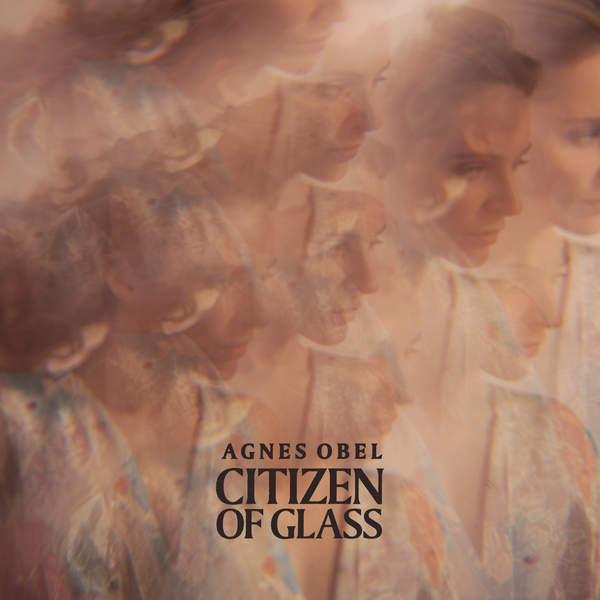 Agnes Obel - Citizen Of Glass (2016) FLAC скачать торрент