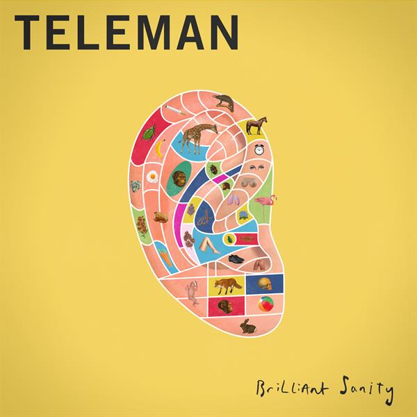 Teleman - Brilliant Sanity (2016) FLAC