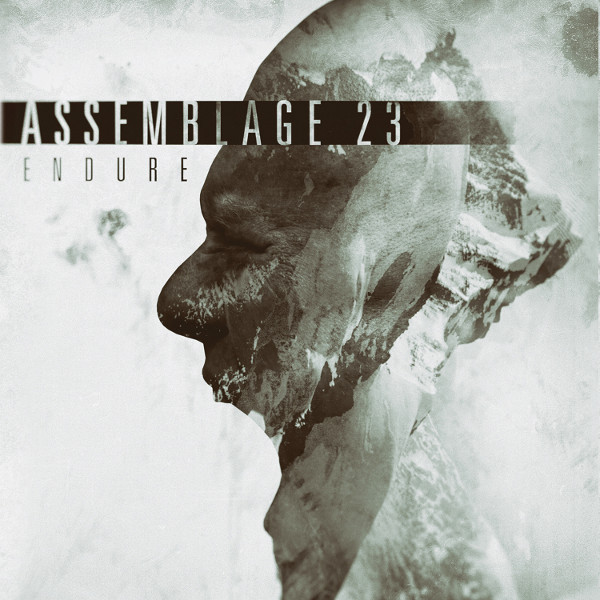 Assemblage 23 - Endure [2CD] (2016) FLAC