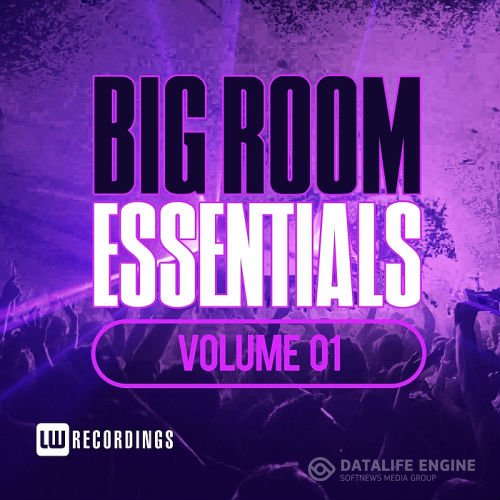 VA - Big Room Essentials, Vol. 01 (2016) MP3