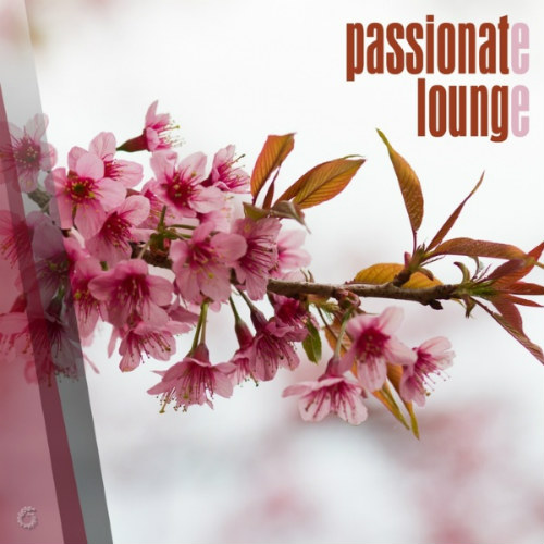 VA - Passionate Lounge (2016) MP3 скачать торрент