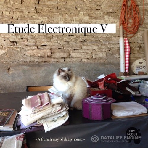 VA - Etude Electronique V - A French Way of Deep House (2016) MP3