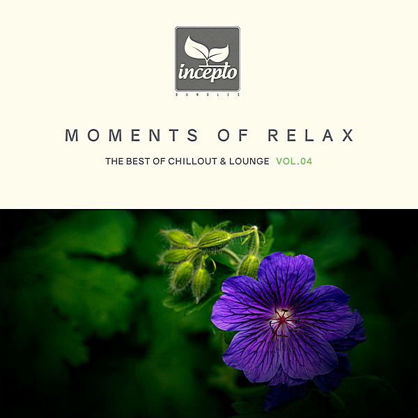 VA - Moments Of Relax Vol.4 (2018) MP3 скачать торрент