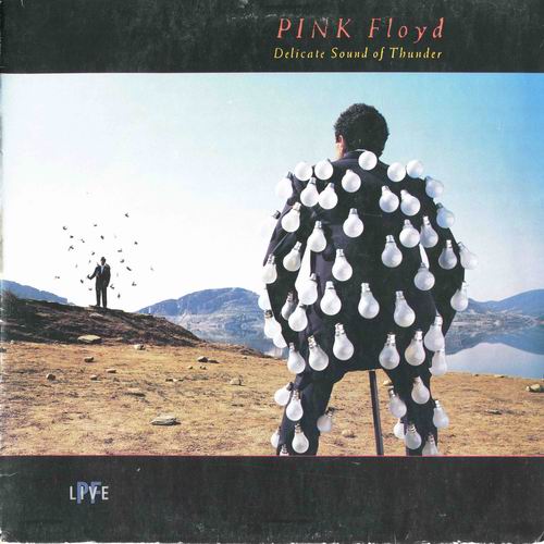 Pink Floyd - Delicate Sound Of Thunder [Vinyl-Rip 24-bit] (1988) FLAC