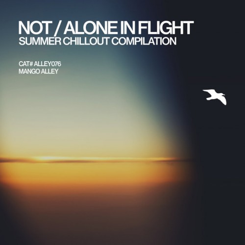 VA - Not/Alone in Flight (2018) MP3