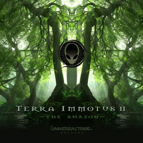 VA - Terra Immotus 2 (2018) FLAC скачать торрент