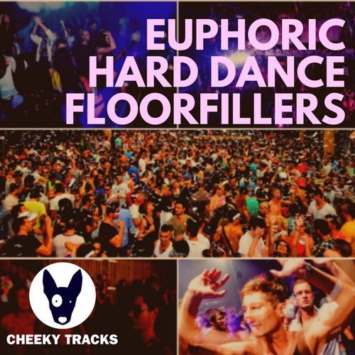 VA - Euphoric Hard Dance Floorfillers (2019) MP3 скачать торрент