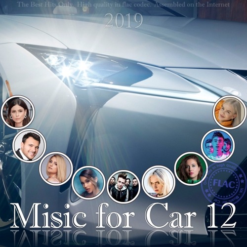 VA - Music for Car 12 (2019) FLAC скачать торрент