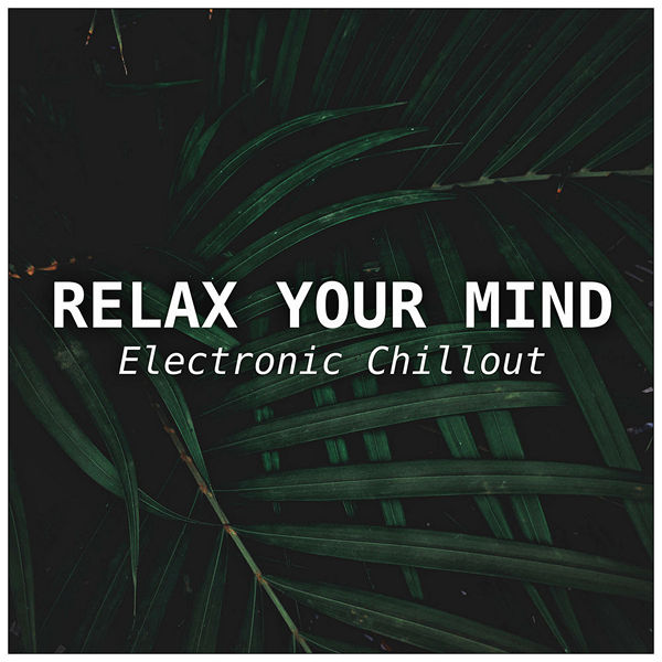 VA - Relax Your Mind [Electronic Chillout] (2019) FLAC