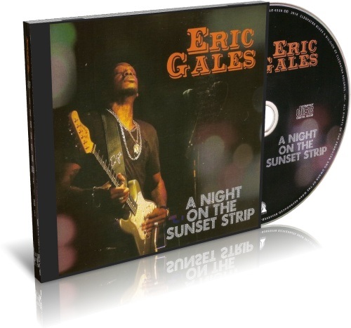 Eric Gales - 18 Albums (1991-2019) MP3