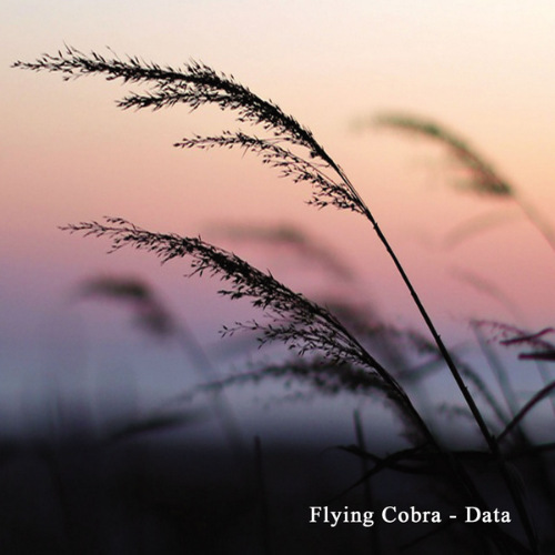 Flying Cobra - Data (2019) MP3