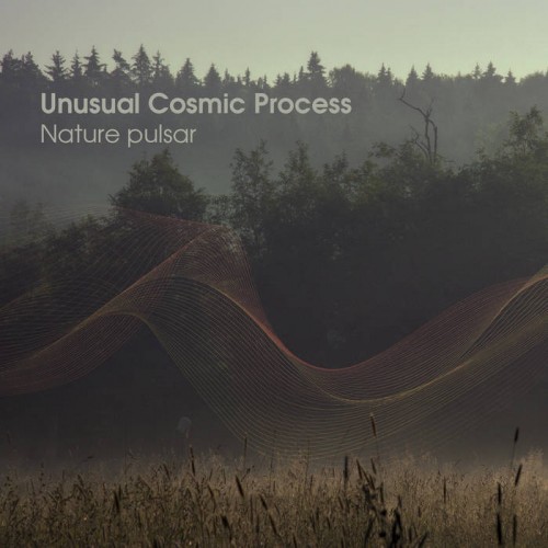 Unusual Cosmic Process - Nature Pulsar (2019) MP3 скачать торрент