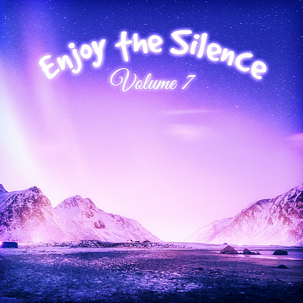 VA - Enjoy The Silence Vol.7 [Andorfine Germany] (2019) MP3