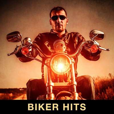 VA - Biker Hits (2021) MP3 скачать торрент