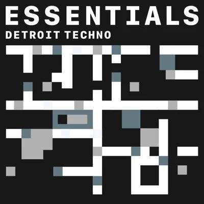 VA - Detroit Techno Essentials (2021) MP3 скачать торрент