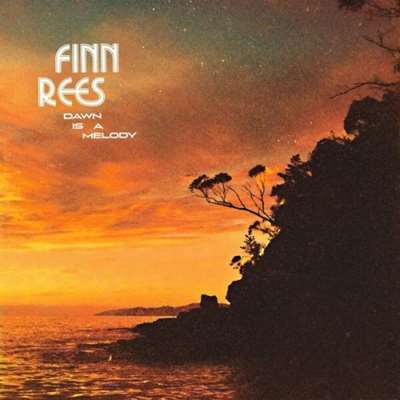 Finn Rees - Dawn Is A Melody [24-bit Hi-Res] (2024) FLAC скачать торрент