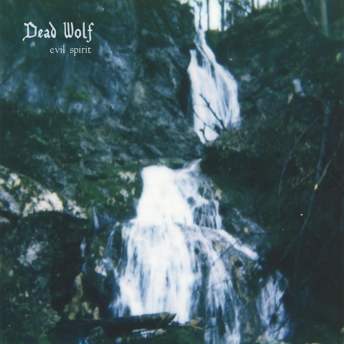 Dead Wolf - Evil Spirit [24-bit Hi-Res] (2024) FLAC