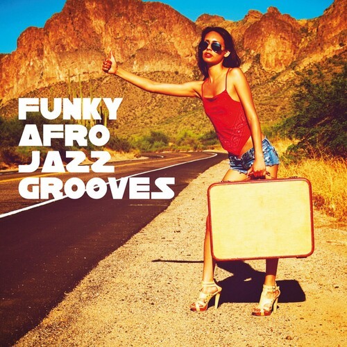 VA - Funky Afro Jazz Grooves (2024) FLAC