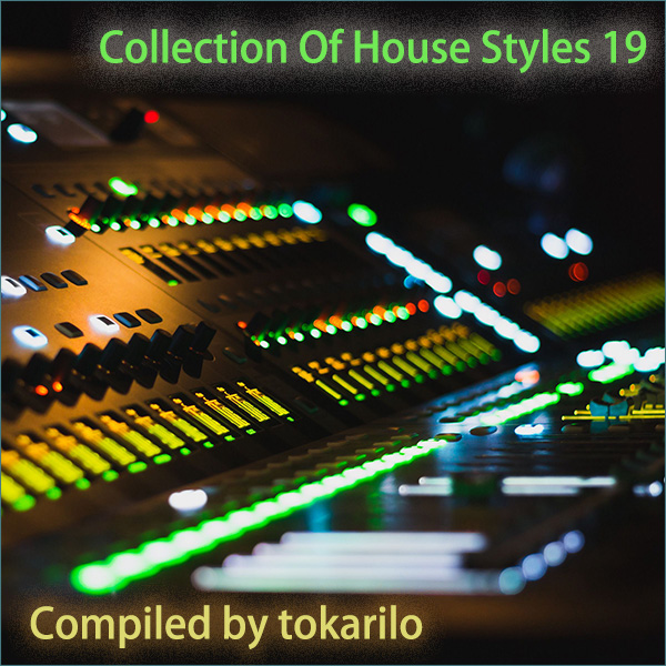 VA - Collection Of House Styles 19 [Compiled by tokarilo] (2024) MP3